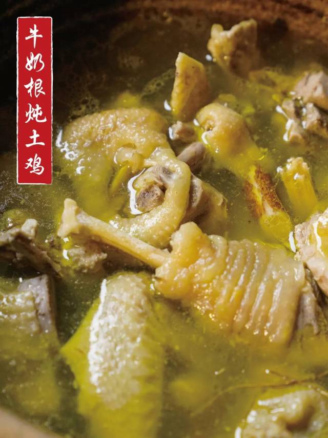 牛奶根炖土鸡