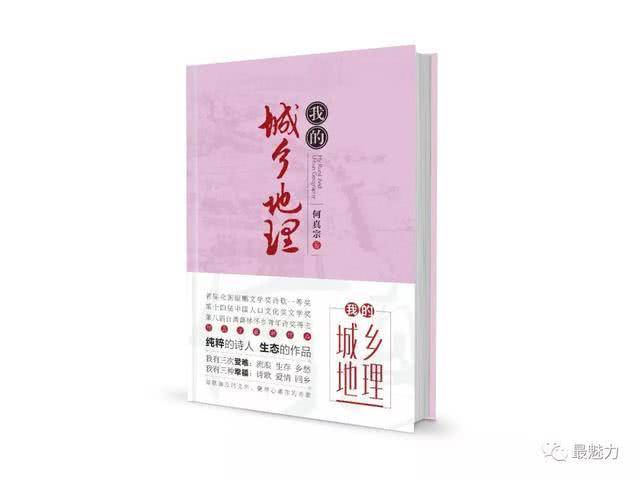 名家解读:何真宗诗歌经典《一只鸟》