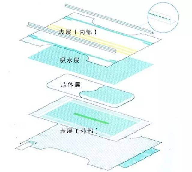那么下面我们一起来认识属于纸尿裤的结构和一些重要的基本原材料