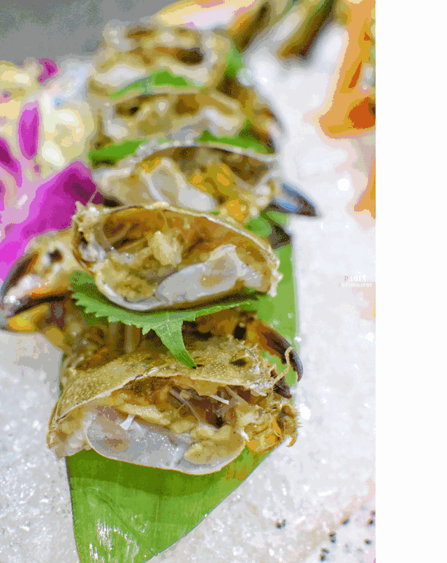 【ging哦】九牛一炉全新装修升级全场菜品7.