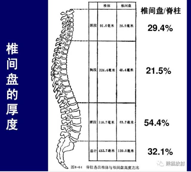 脊柱影像检查方法,相关解剖及应用