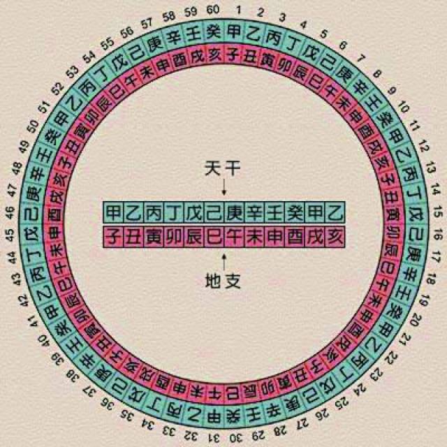 八字万年历详细解说天干地支到底是什么?