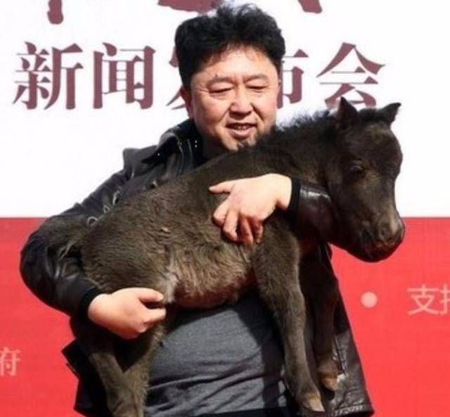 说起苗阜,大家可能对他几年前和王声一起合作的《满腹经纶》印象深刻
