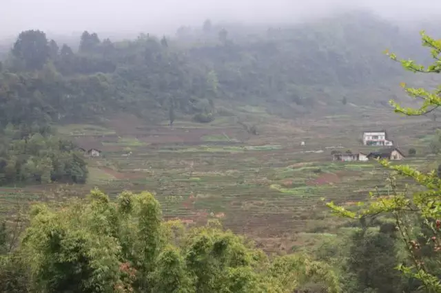 石岗子梯田,位于打通镇天星村,呈扇状,两侧为山林.