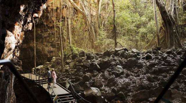 世界第一的热带雨林缆车,带你飞跃阿凡达原始森林!
