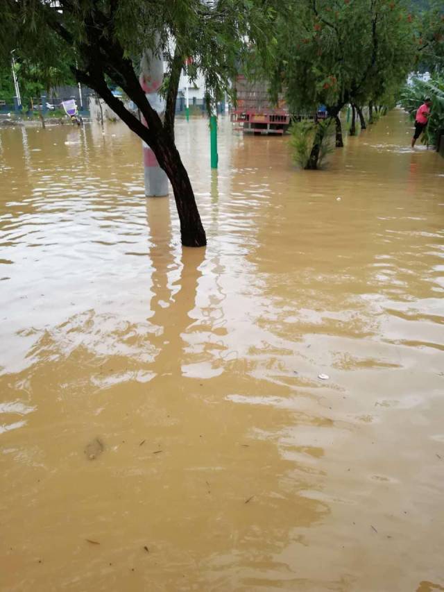 近期各地降雨导致洪涝,洪灾期间居民饮用水卫生知识小