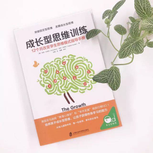 荐读| 孩子终会长大,成长型思维到底有多重要?