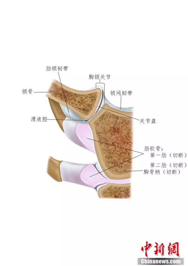 左手医学右手艺术!"85后"美女医生的第二职业