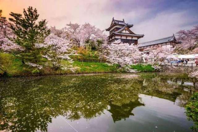 初行度假梅雨季 漫步在日本紫阳花海