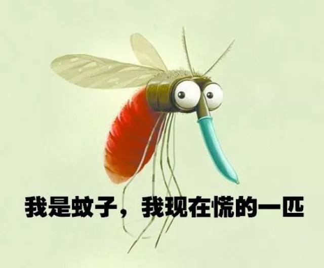在这里,小编需要为比尔盖茨澄清一下,人家真的不是因为小时候被蚊子叮