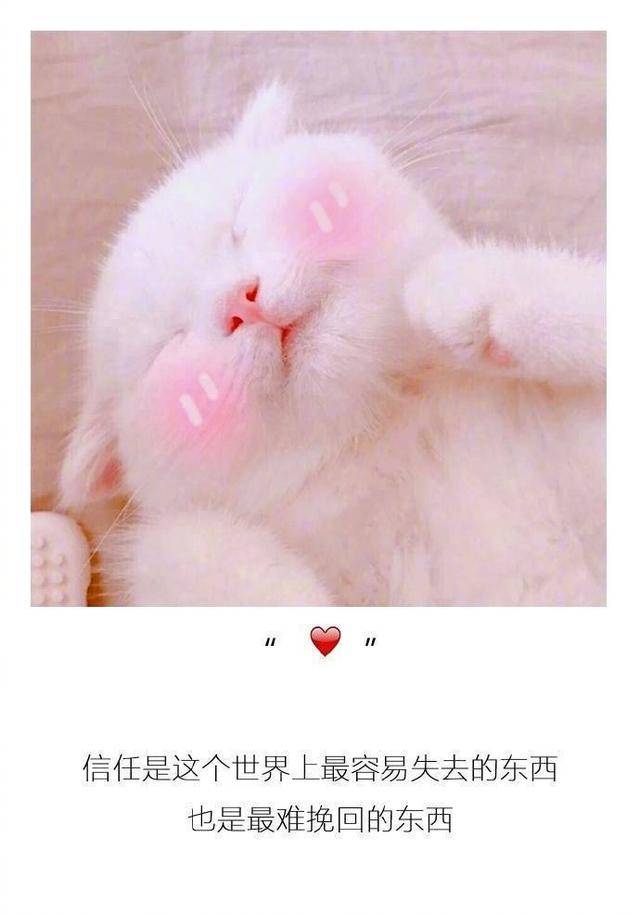 最幸福的事是有人信你 有人陪你有人懂你有人宠你 而原因是因为爱你