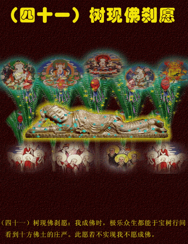 阿弥陀佛四十八愿简述!(视频 图文)