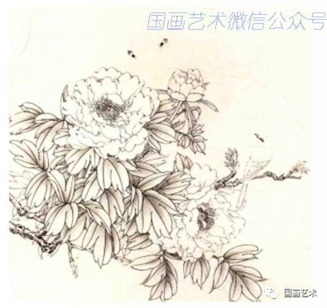 图文教程:工笔牡丹画法步骤