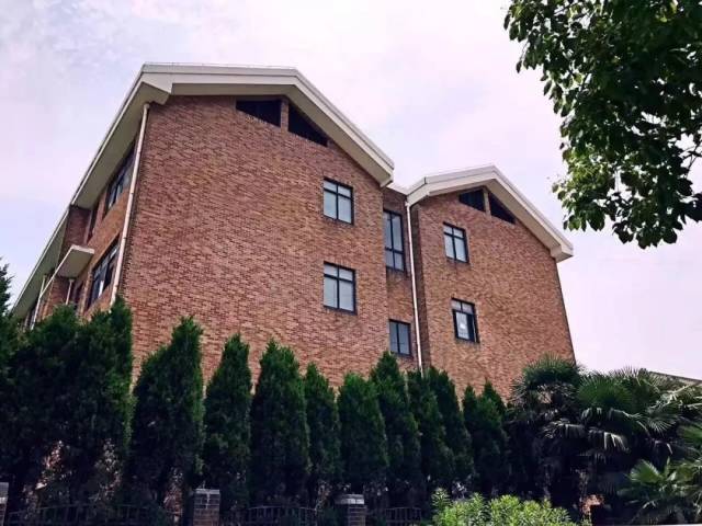 中考后的你何去何从,上海常青藤学校开放日,你确定不约吗?