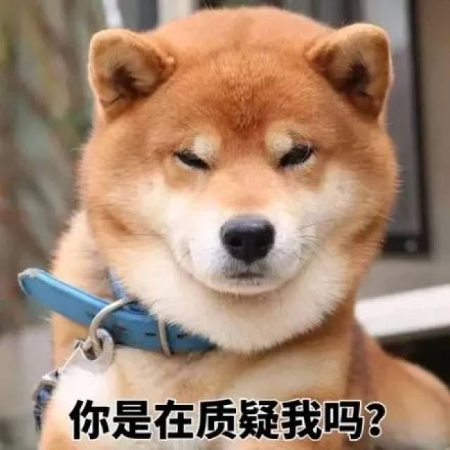 877d3a4d224247ab943b5a9de646de31.jpeg