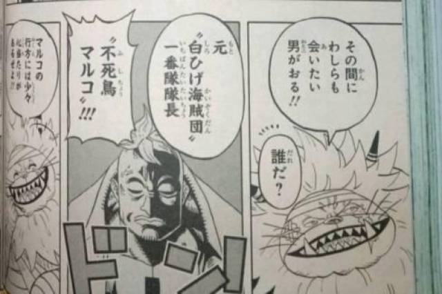 海贼王:马尔科自述被黑胡子秒杀,巴金已确认是白胡子妻子!