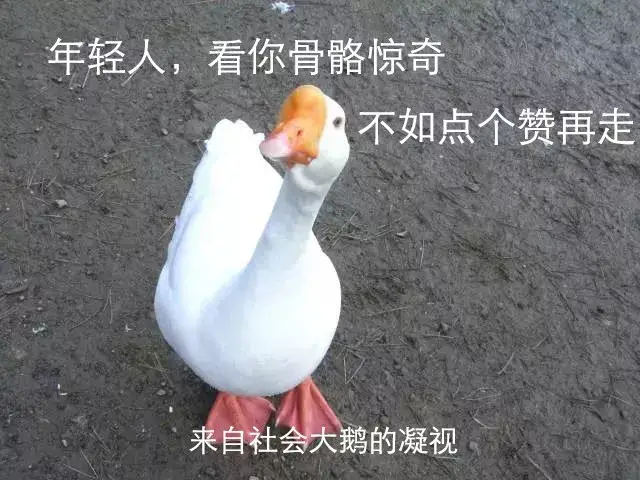 不如点个赞再走