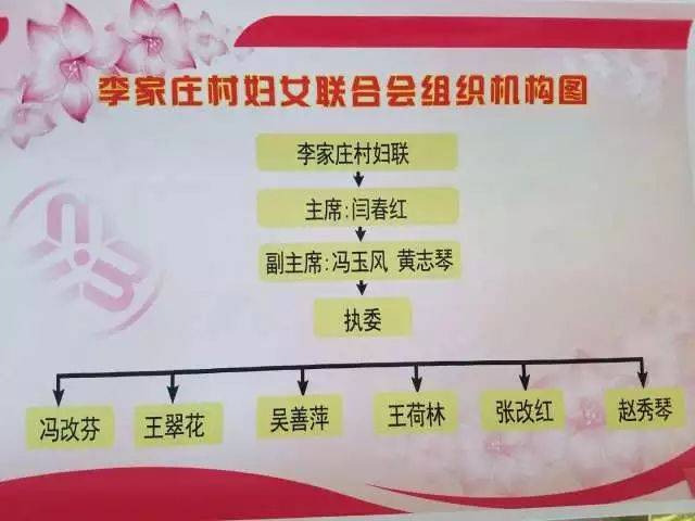 七一巡礼之五丨李家庄乡"助力乡村振兴●妇联组织创新