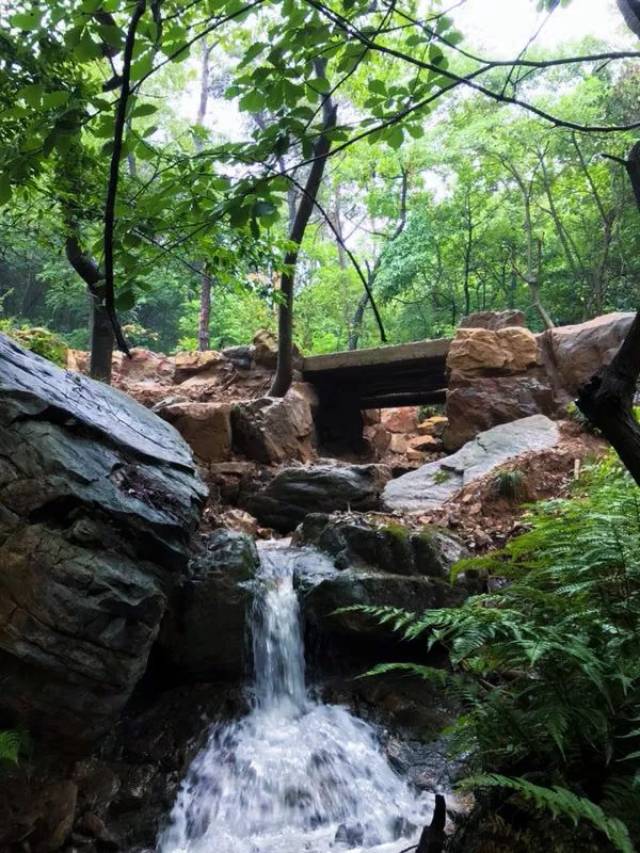 虞山生态步道桃源涧示范段竣工,显山