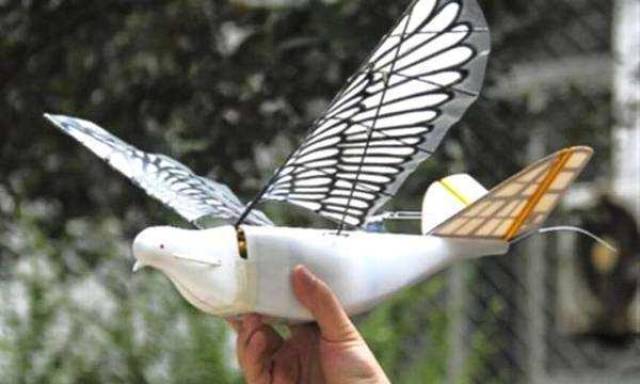 中国研发这种仿生无人机 和鸟一样能骗过雷达