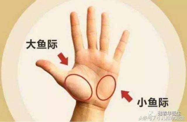 (4)日常可配合两个鼻炎保健手法,一个是双手合拢"大鱼际"部位上下对擦
