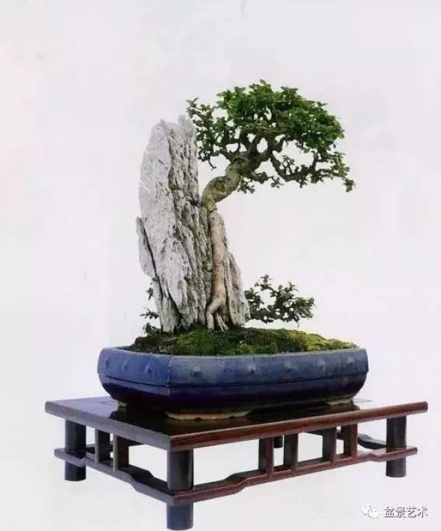 辰-ʳƵ-ֻѺ
