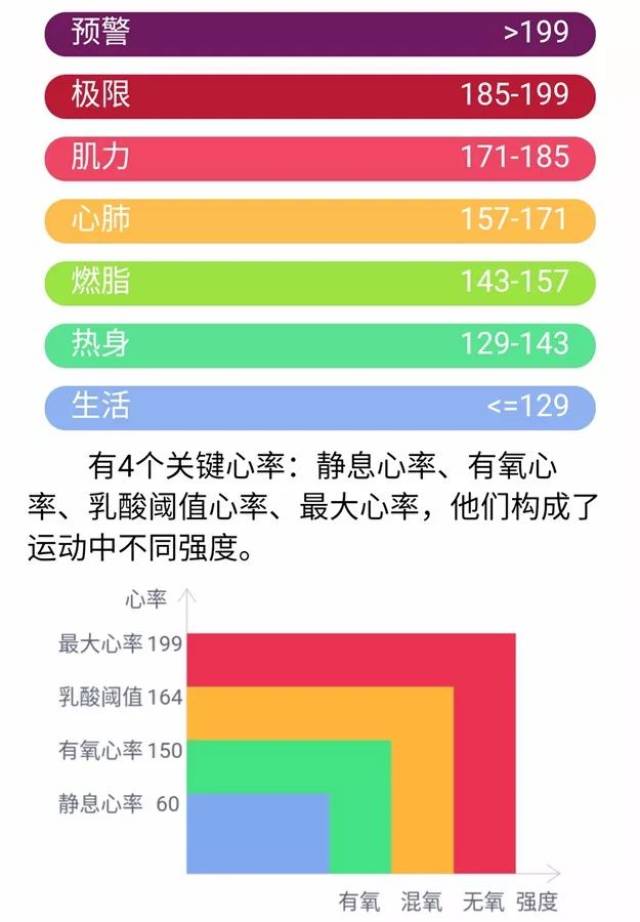 t958连接上app后,手机界面出现心率数值,开启app中的"户外跑步",将