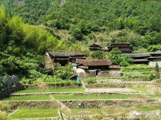 郎回坑,属青田县巨浦乡西坑村下辖的自然村.