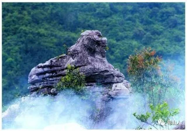 常山国际大酒店5,云上轩民宿 常山县新昌乡黄塘村6,不老泉农家乐 常山