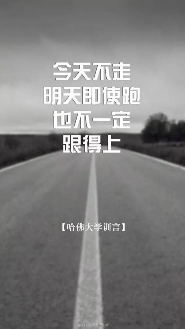 最近有学员跟小兽说 需要一些励志屏保 还要绿色的 发给楼老师