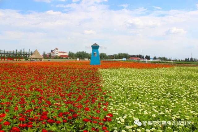 蒙根花万通生态旅游区|优惠来袭 等你来搭讪