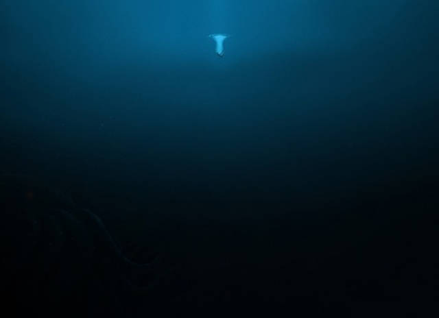 一组反应深海幽邃照片,来自海洋深处的恐惧