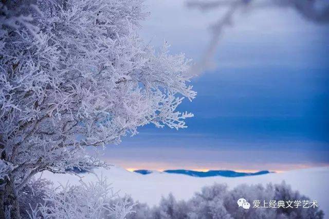 朗诵艺术家 磊明 朗诵《雪落在中国的土地上》作者:艾青