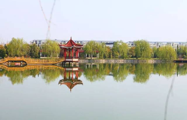 盐城市城乡统筹发展试点示范镇,素有"四县通衢,盐阜咽喉,建湖东大门"