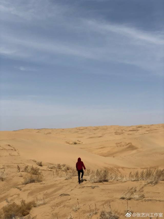 沙漠海洋草原和你 艺兴的背影概念照汇总