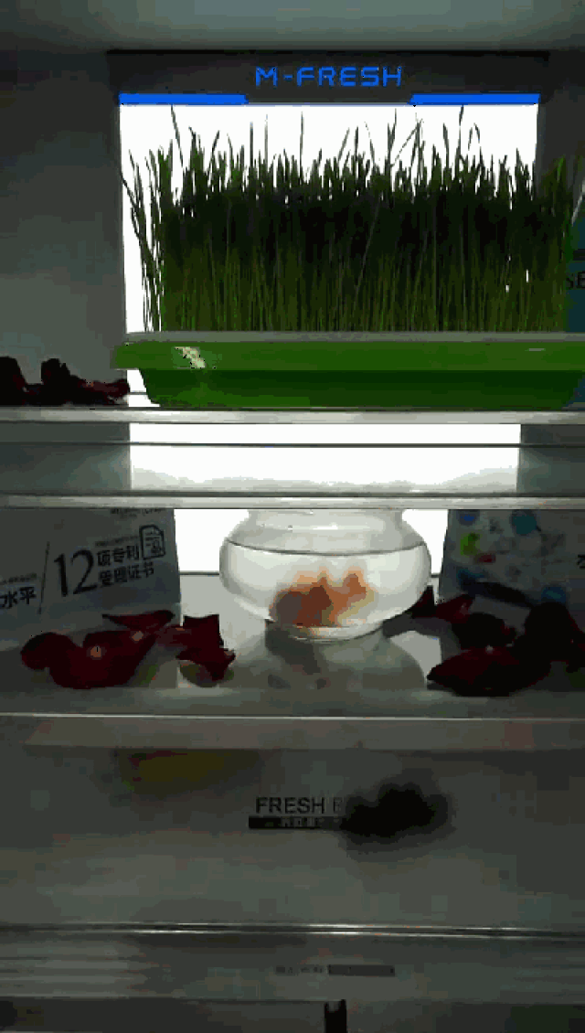 400_706   gif ̬ͼ ͼ