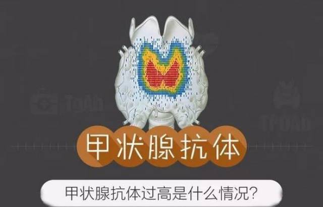 首大赵桂丽:甲状腺抗体过高是什么情况?