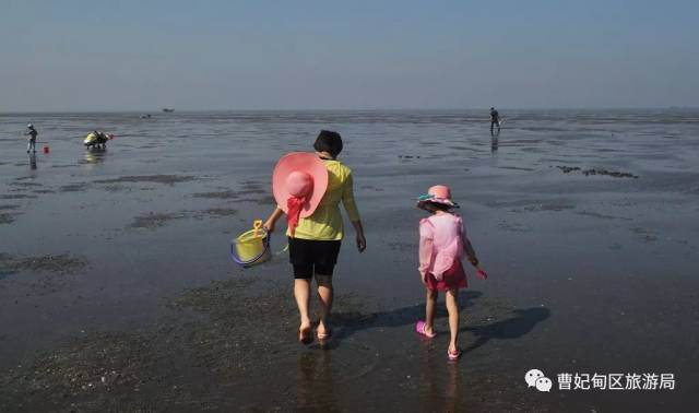 无惧酷暑数千人组团曹妃甸挖蛤,爆炒花蛤称霸家常小海鲜