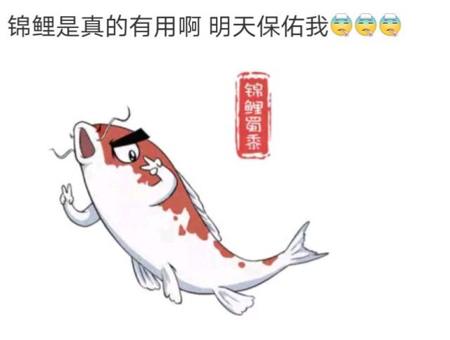 锦鲤图片手绘考试