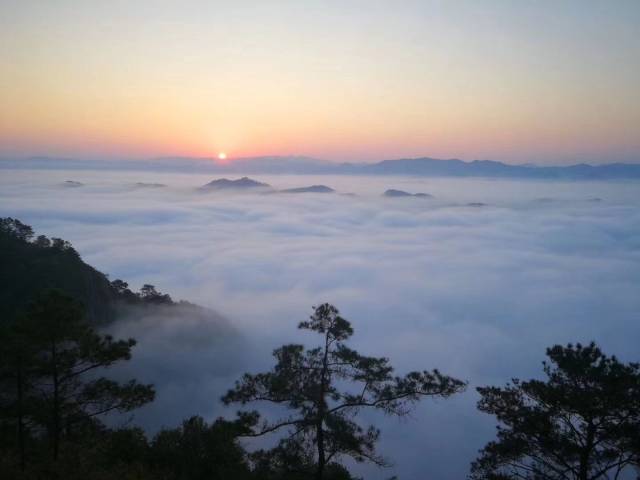 看梧州最美风景,罕见低海拔云海日出地藤县石表山风景区