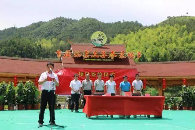 第三届柘荣太子参采收节将于7月3日在英山乡凤洋村举行