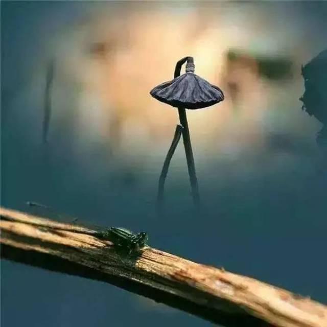 境界无上限,道德有底线(深度好文!