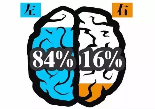 反过来,我们的左手,左脚,左半身器官也刺激着我们的右脑