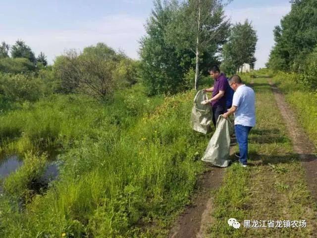 【河长巡查】龙镇农场第三管理区开展农药瓶清理巡查活动