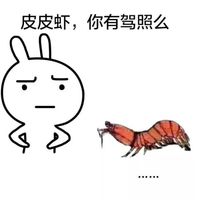 最想要实现的暑假愿望?