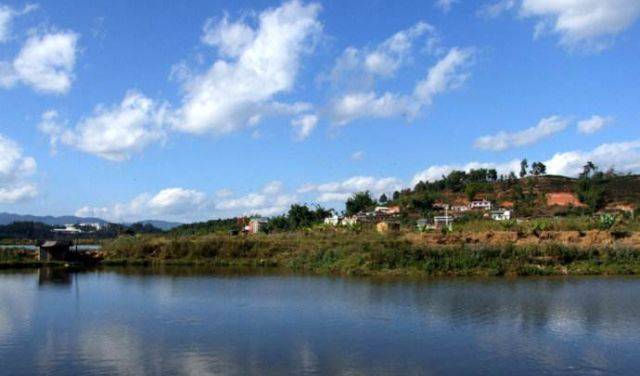 翠湖新添玩场柳营洗马,美成啥样带你看!