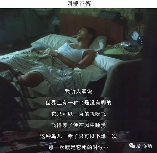 第十四期:《阿飞正传》无脚鸟的孤独从何而来