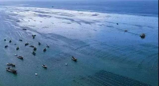 【不如】亲海玩海赶海自己收藏,恩施赶海最强攻略送上大连至九寨沟自驾游攻略图片