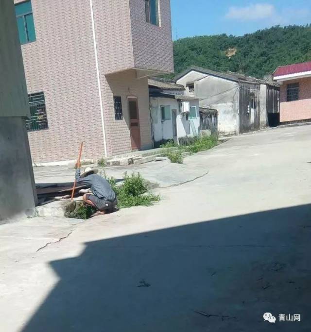 [西胪创文办] 青山村及西胪各村居(社区)环境整治再掀