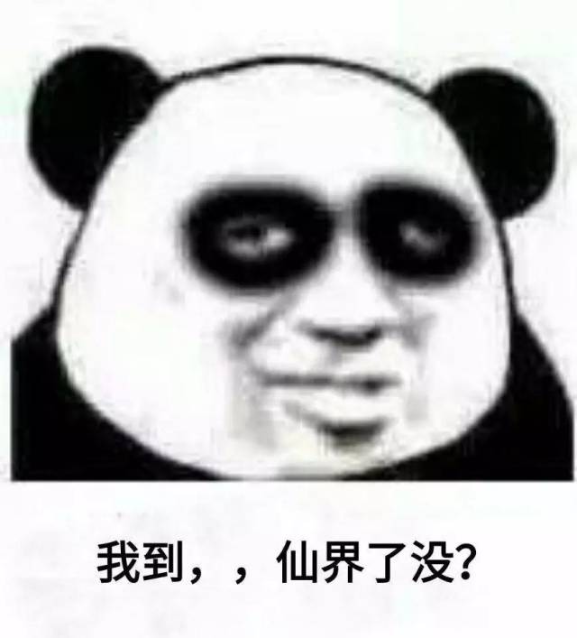 "昨晚渡劫成功了吗?